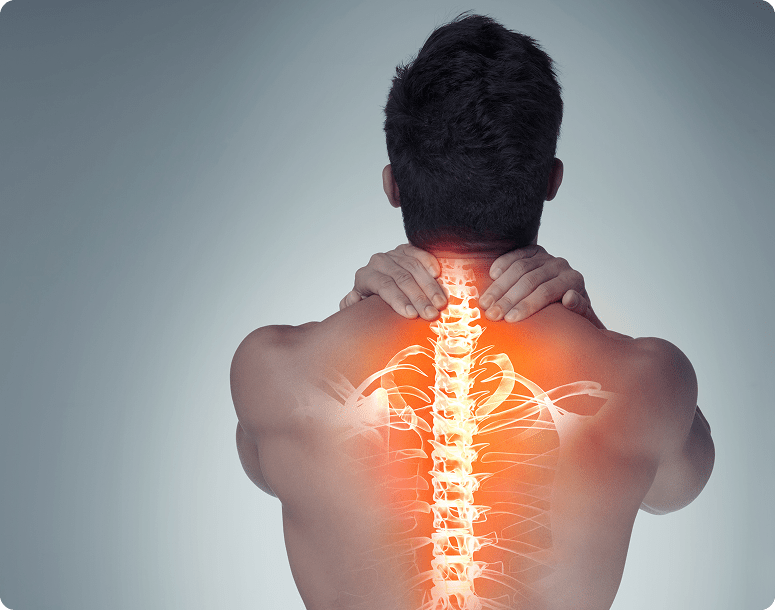 Musculoskeletal Health