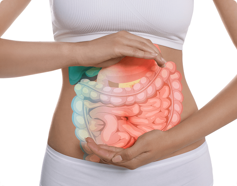 Digestive & Metabolic Health